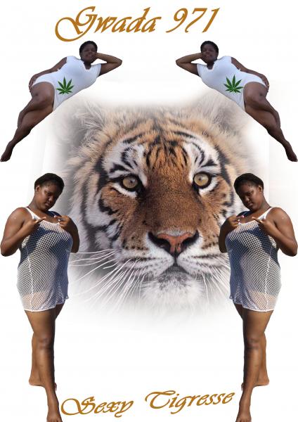 sexy tigresse
